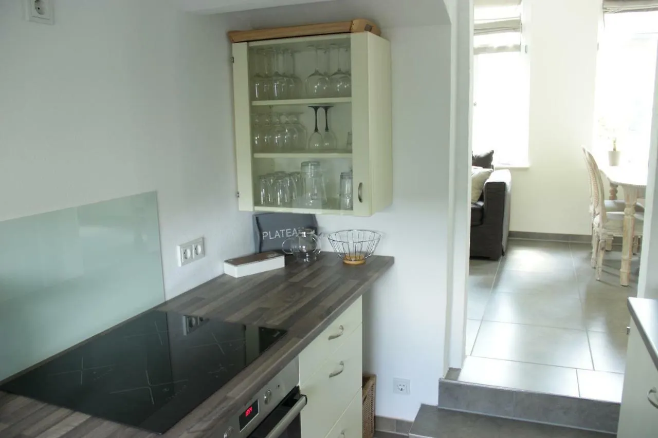 Ferienwohnung an der Elbe Dresden Deutschland